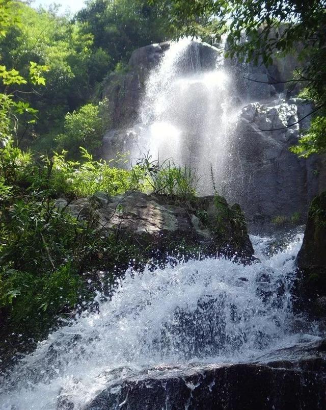 翻转吧，苹果虫